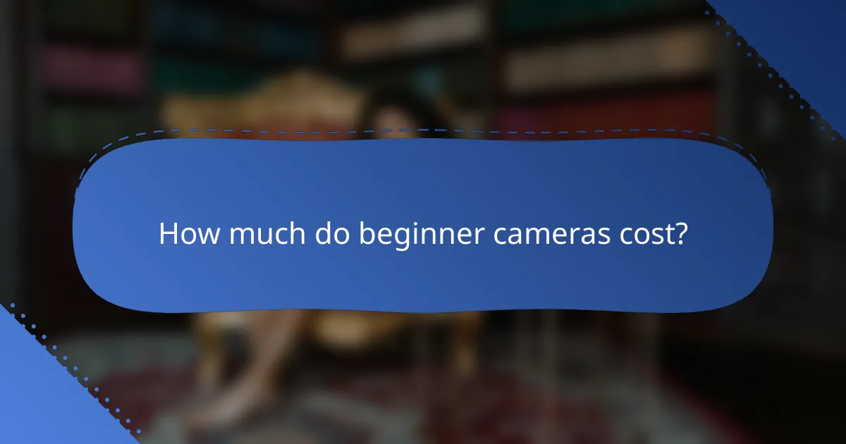 How much do beginner cameras cost?