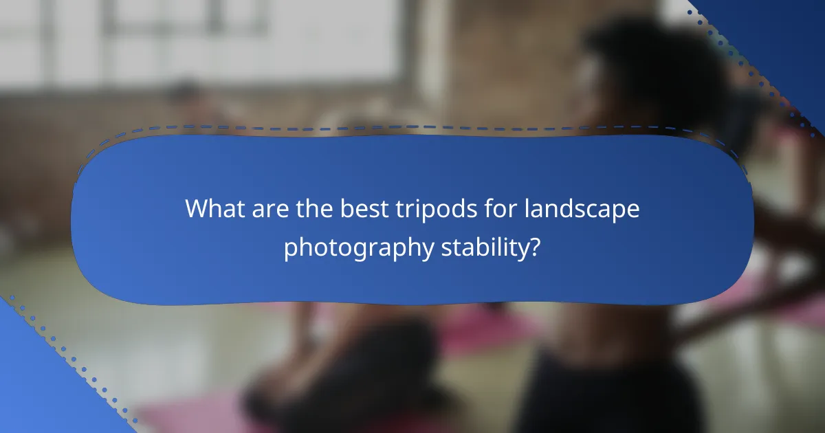 What are the best tripods for landscape photography stability?