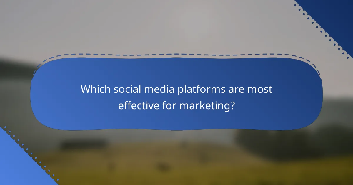 Which social media platforms are most effective for marketing?
